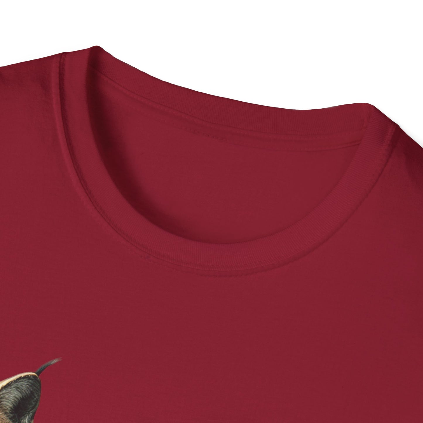 Nature-Inspired Decor & Wearables