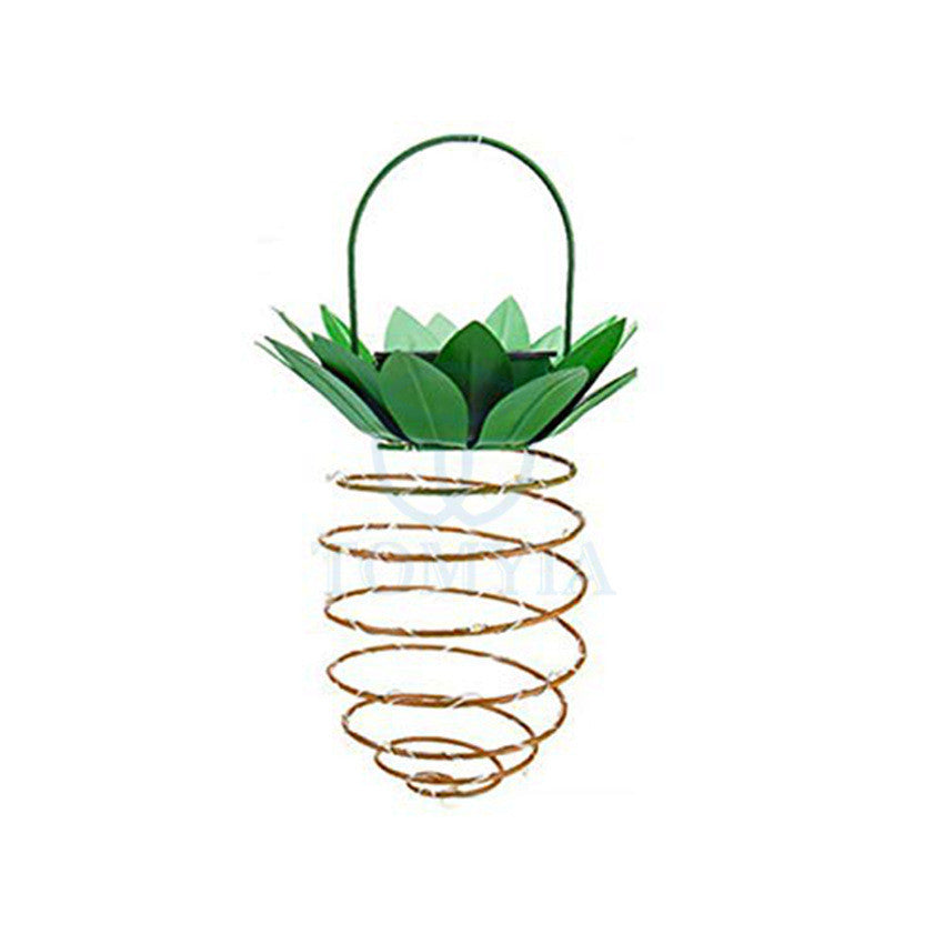 Glow Nest