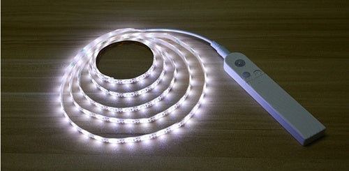 Glow Nest