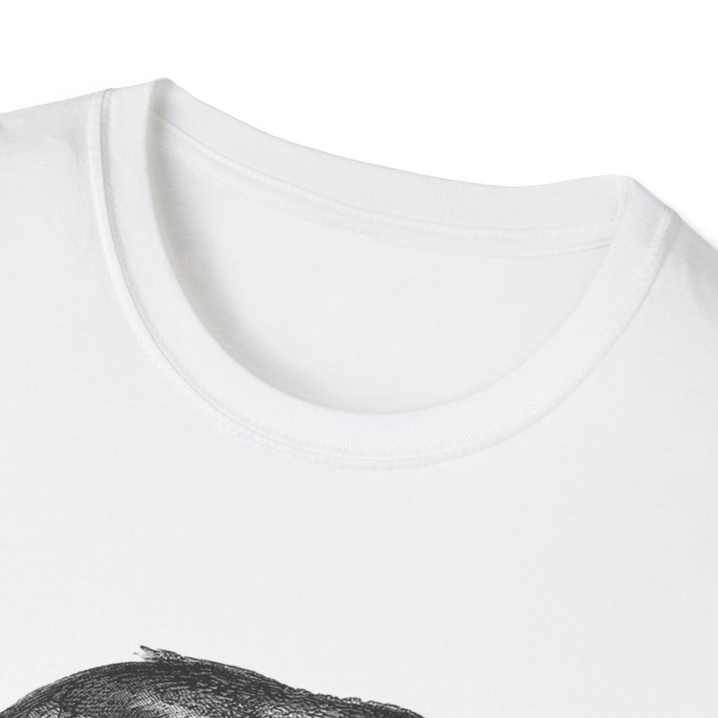 Nature-Inspired Decor & Wearables