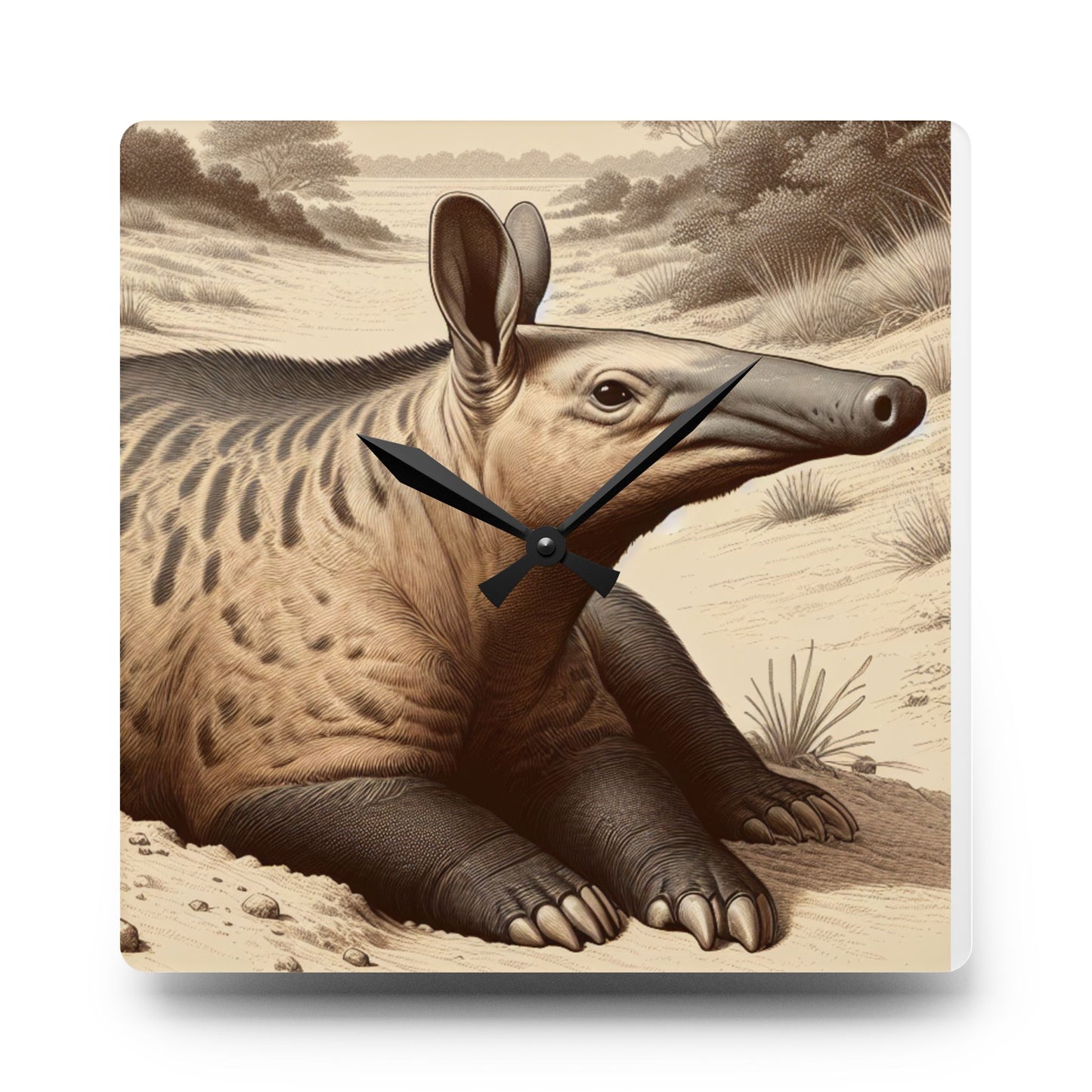 Nature-Inspired Decor & Wearables Aardvark Acrylic Wall Clock – Quirky Animal Art Spaces