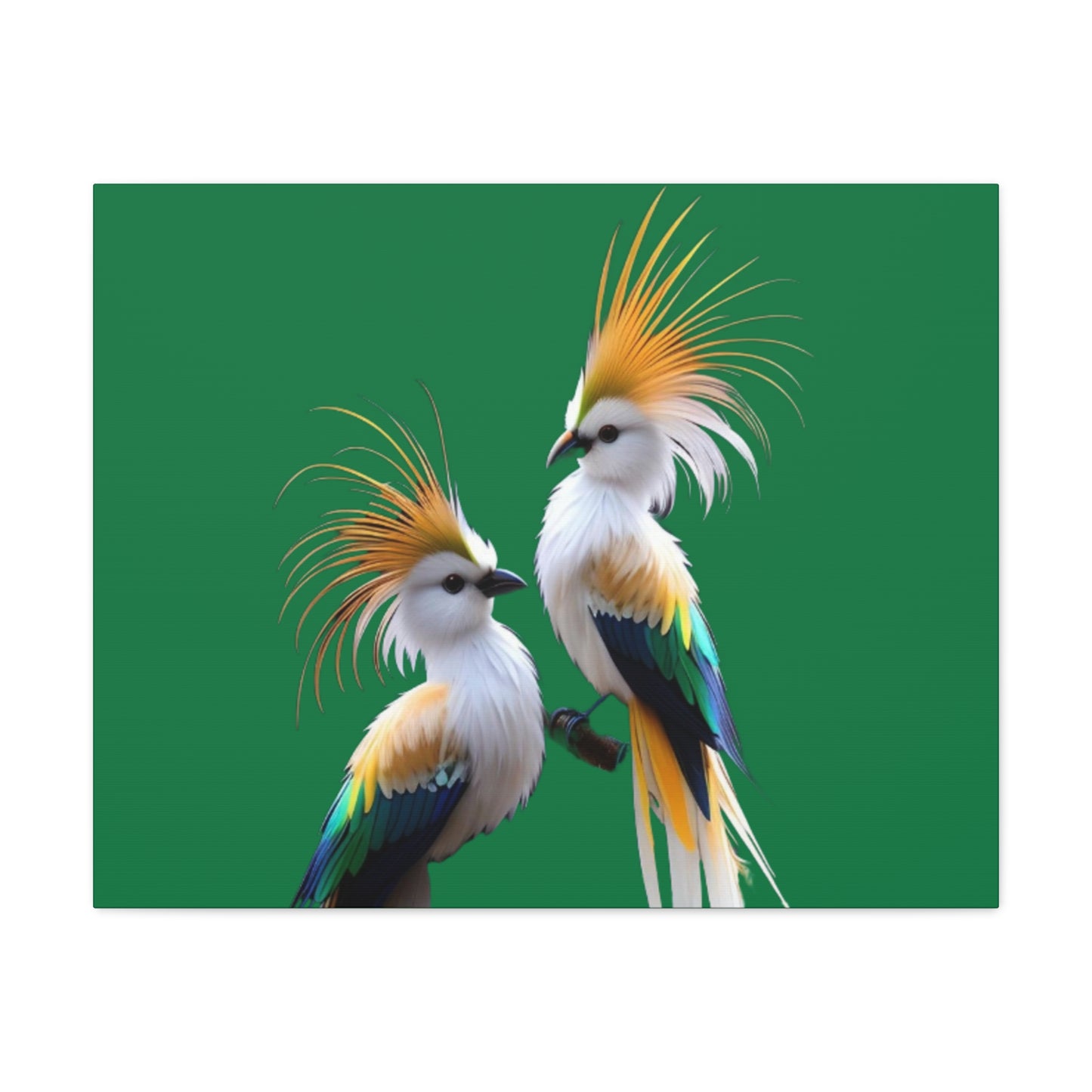 Nature-Inspired Decor & Wearables