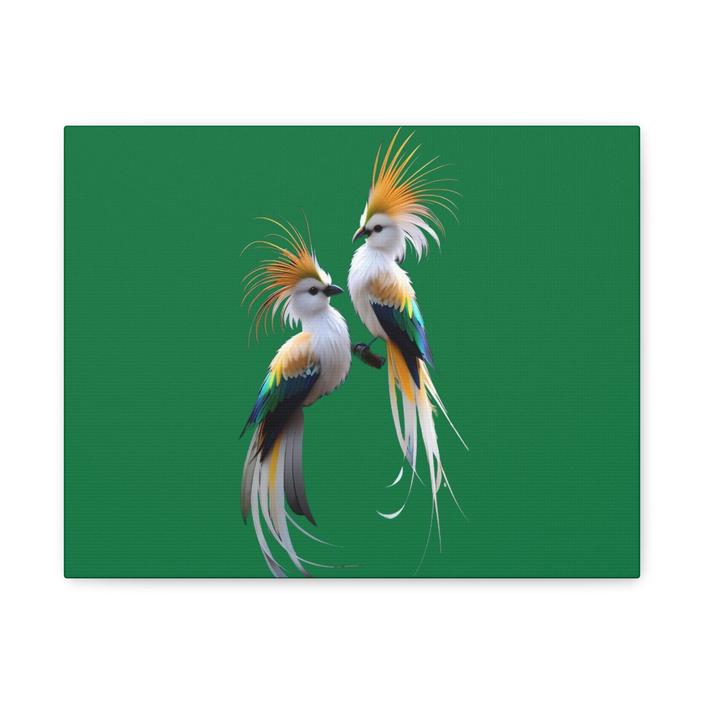 Nature-Inspired Decor & Wearables