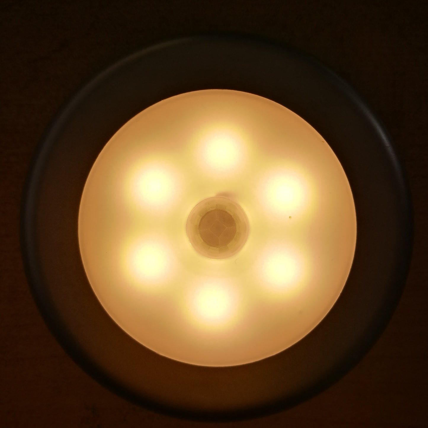 Glow Nest