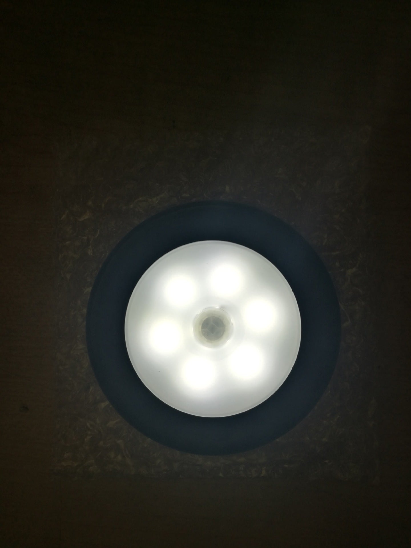 Glow Nest