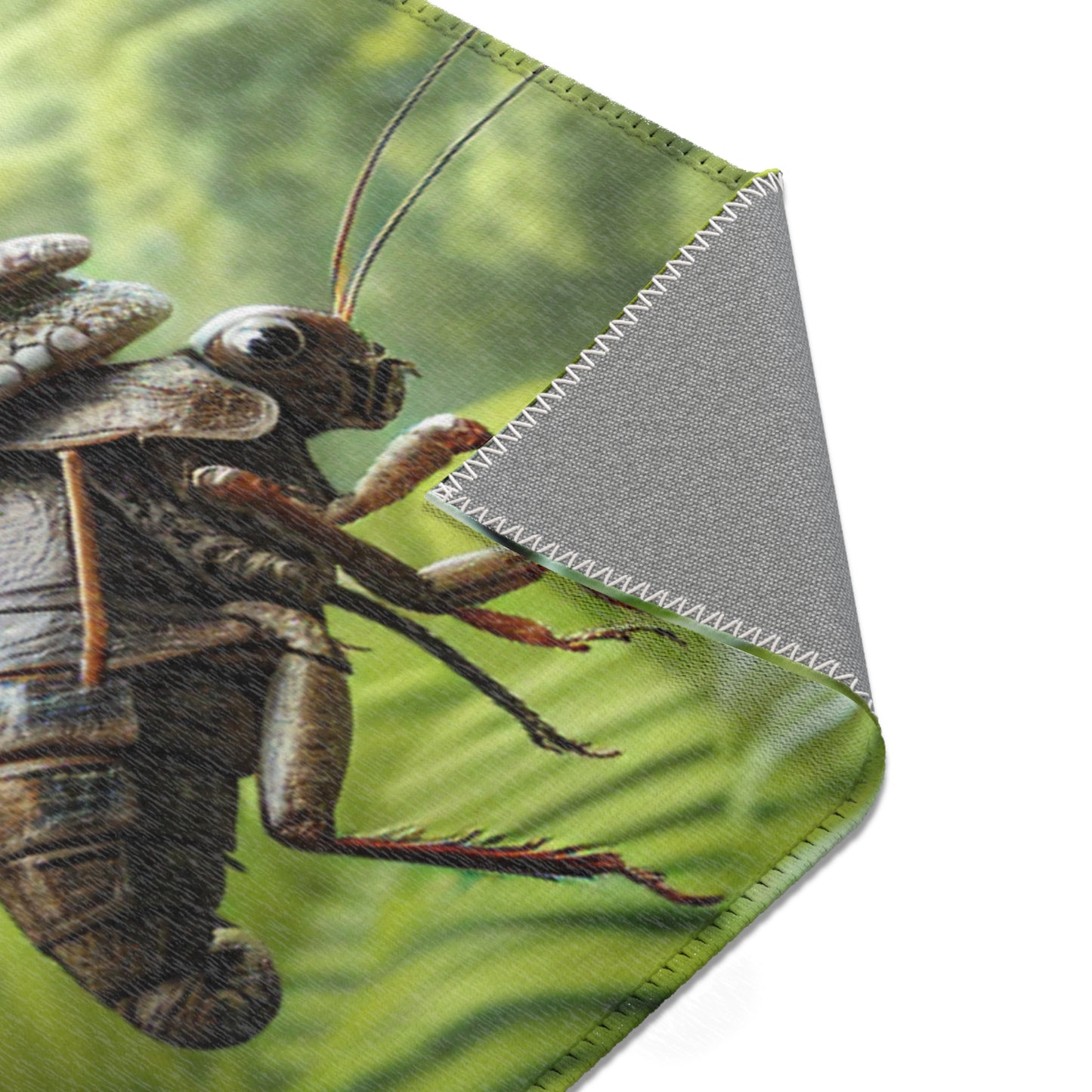 Nature-Inspired Decor & Wearables
