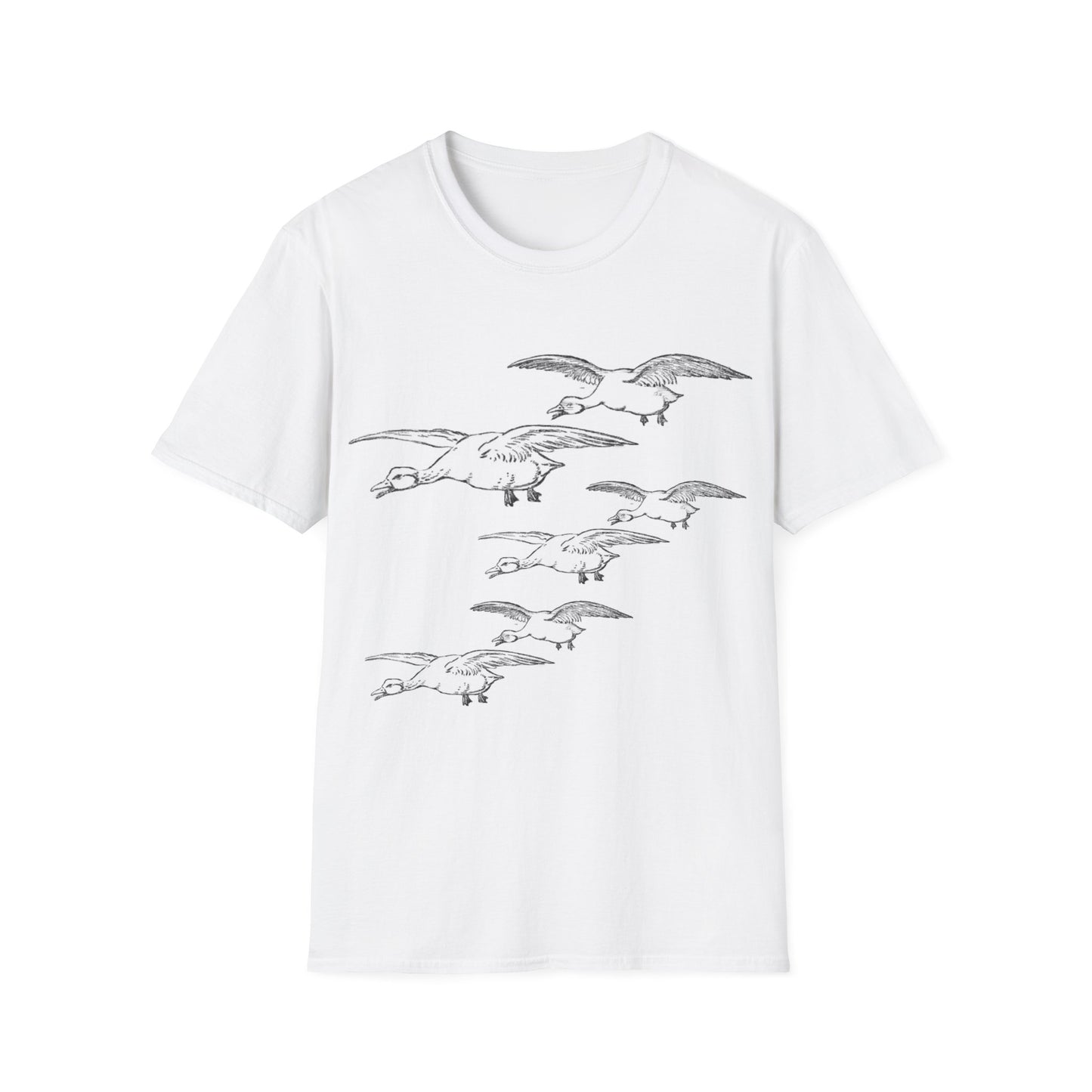 Nature-Inspired Decor & Wearables