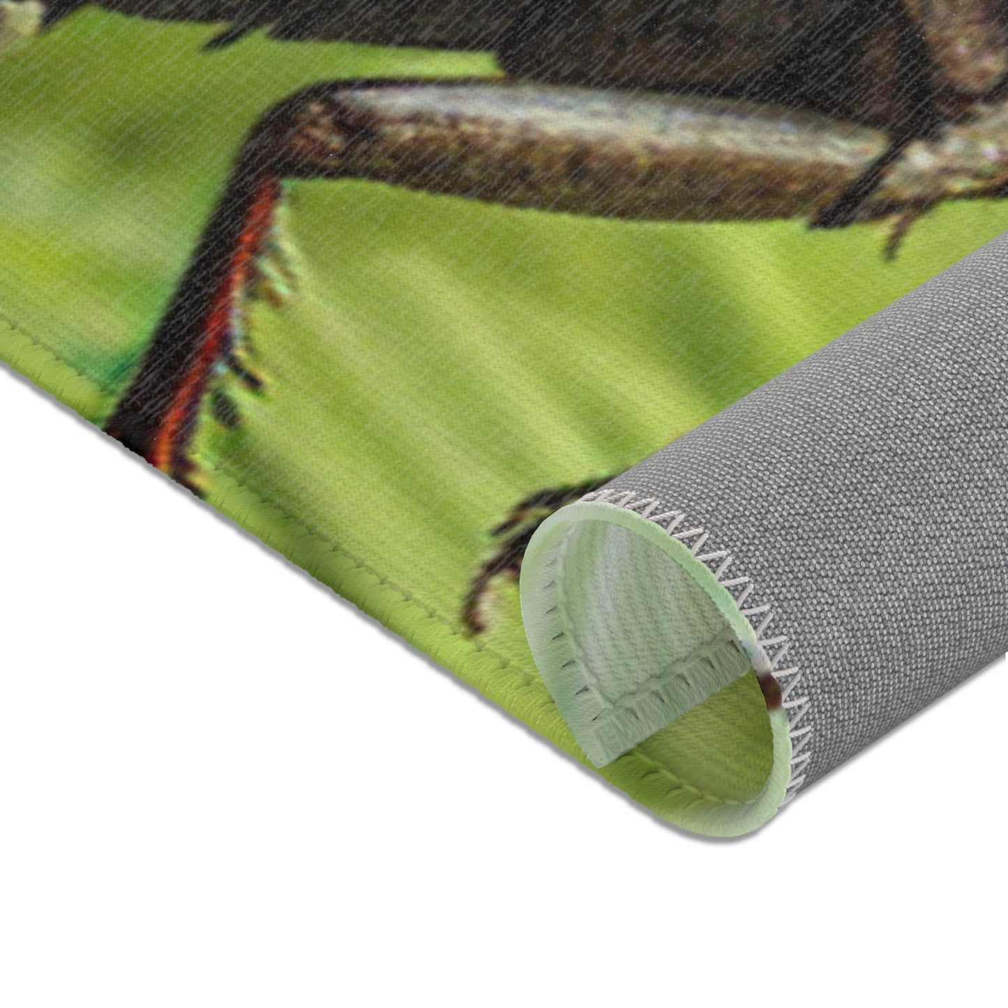 Nature-Inspired Decor & Wearables