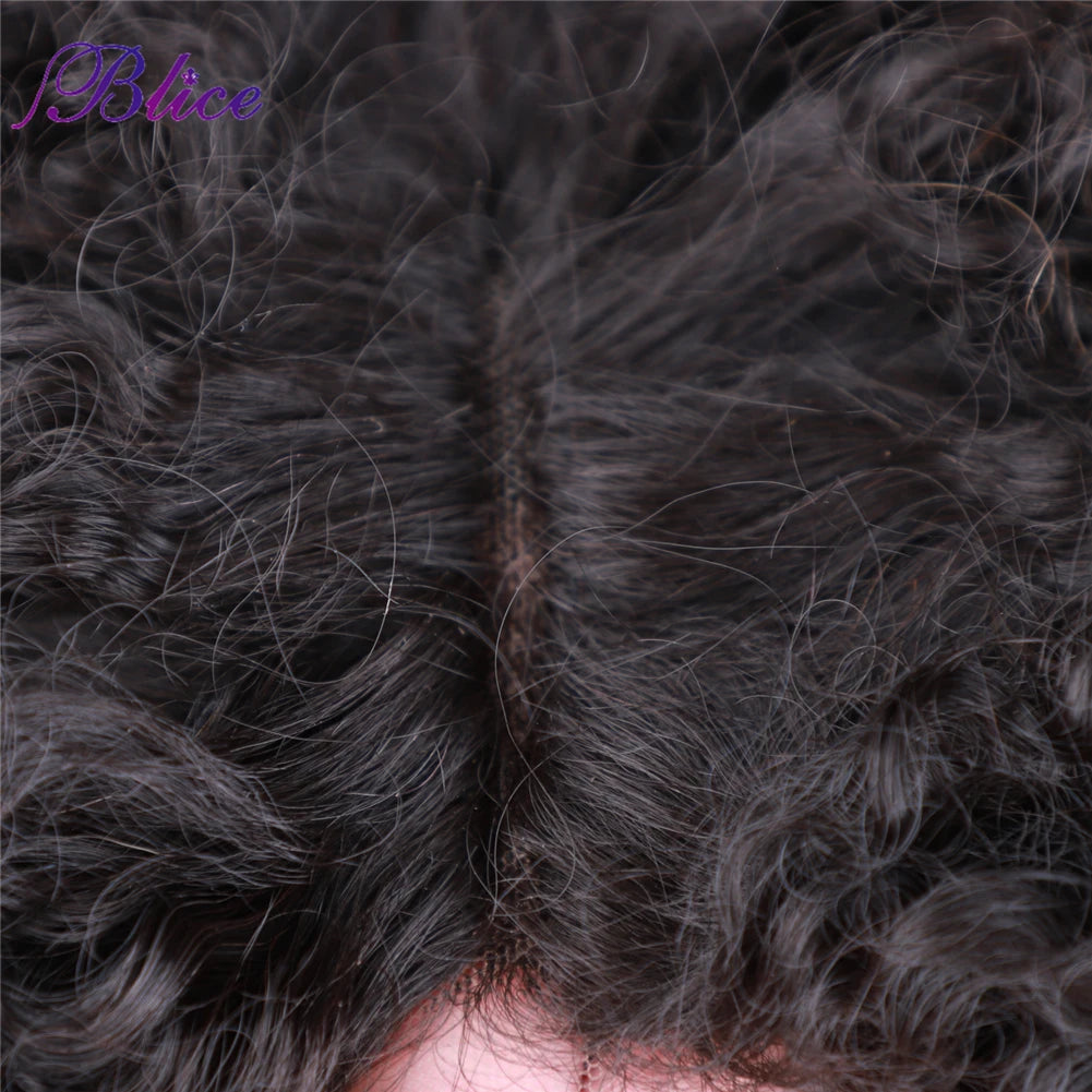 Crown & Glory Wigs