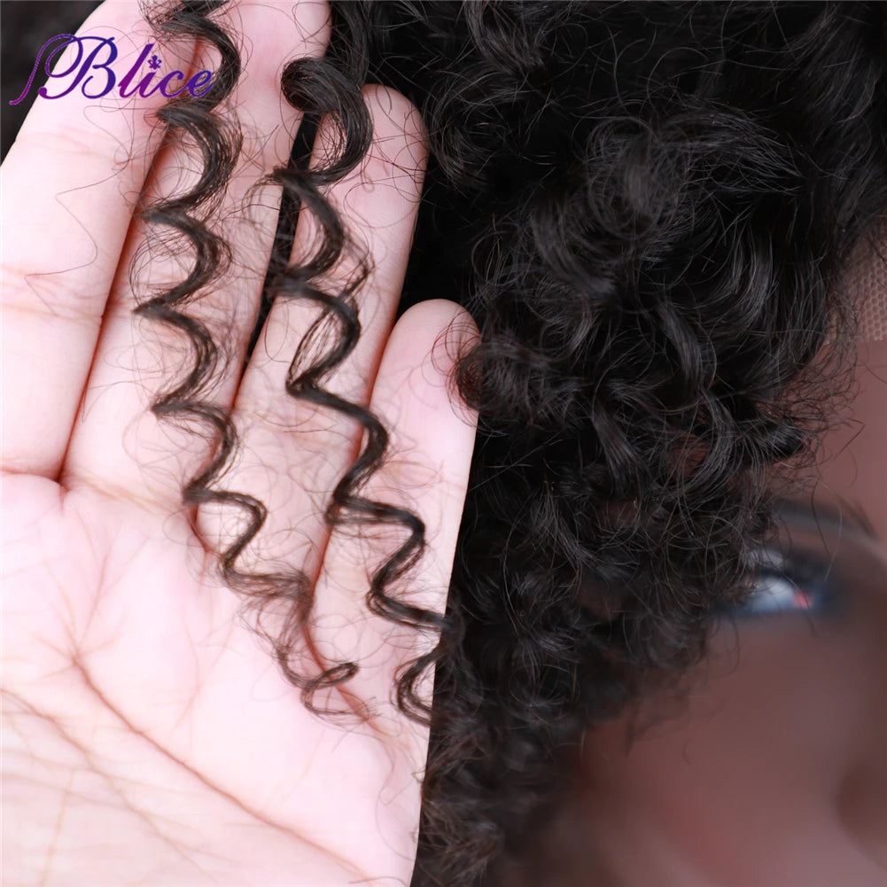 Crown & Glory Wigs