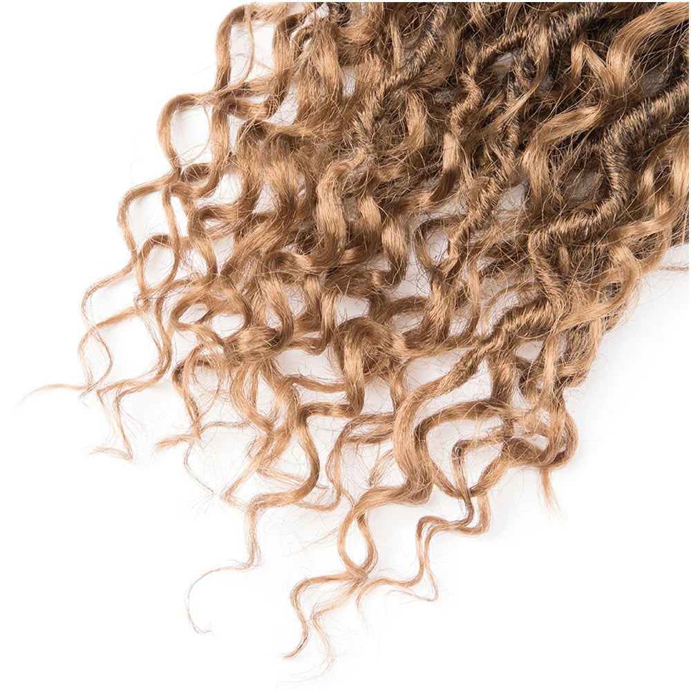 Crown & Glory Wigs