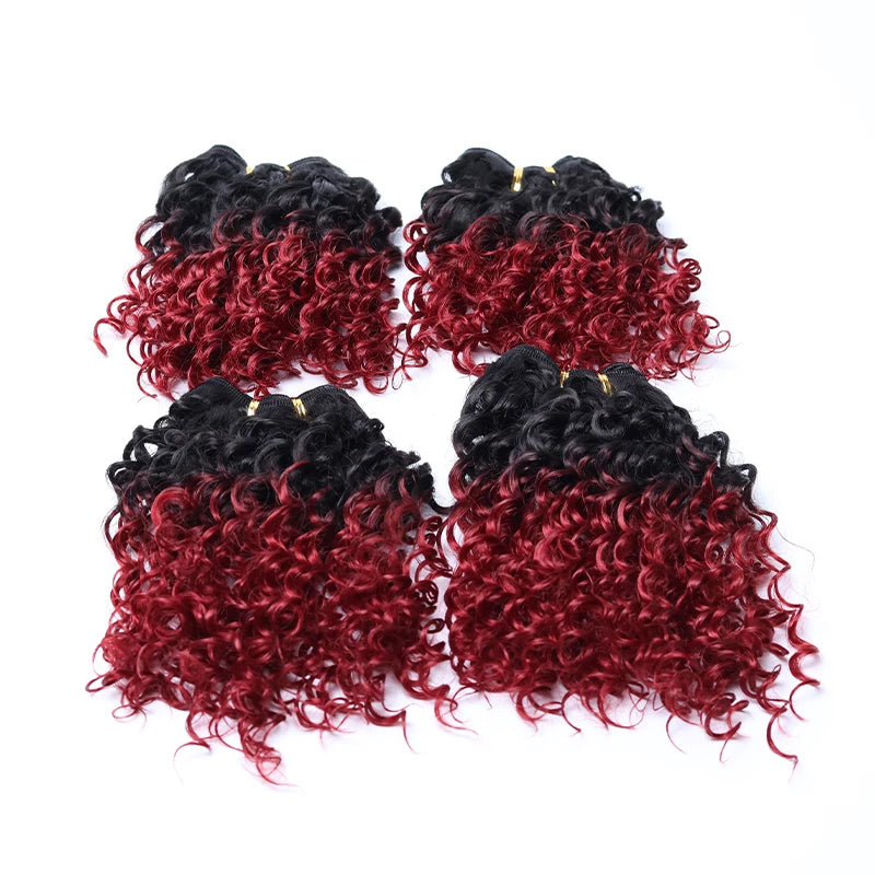 Crown & Glory Wigs
