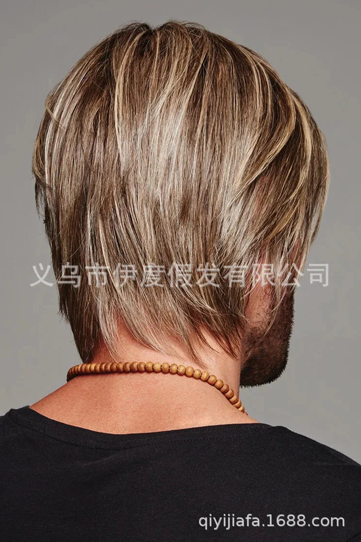 Men’s Long Straight Wig – Natural-Looking 26"+ Synthetic Hair for Daily Use/Crown & Glory Wigs