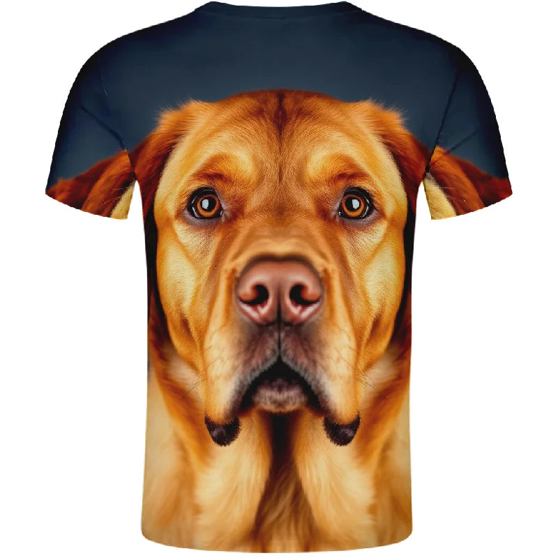 Men clothing