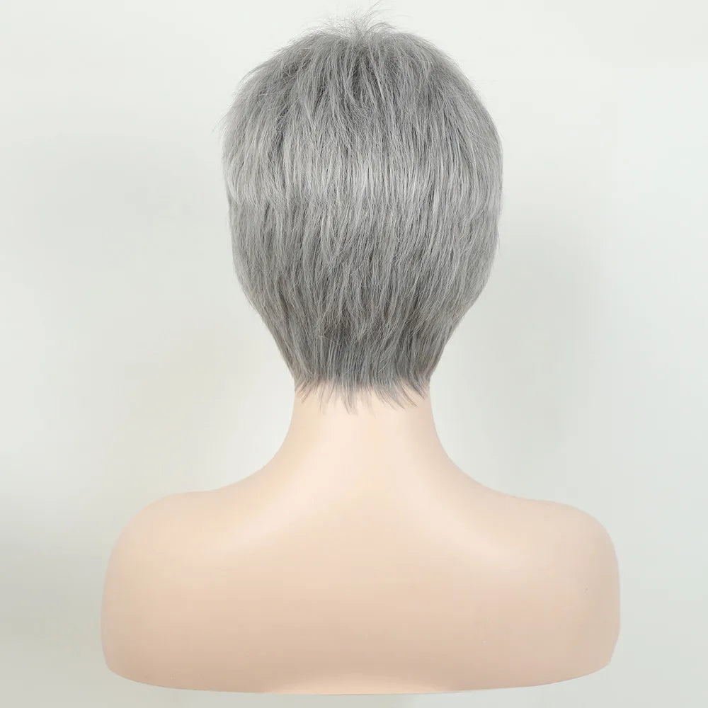 Crown & Glory Wigs