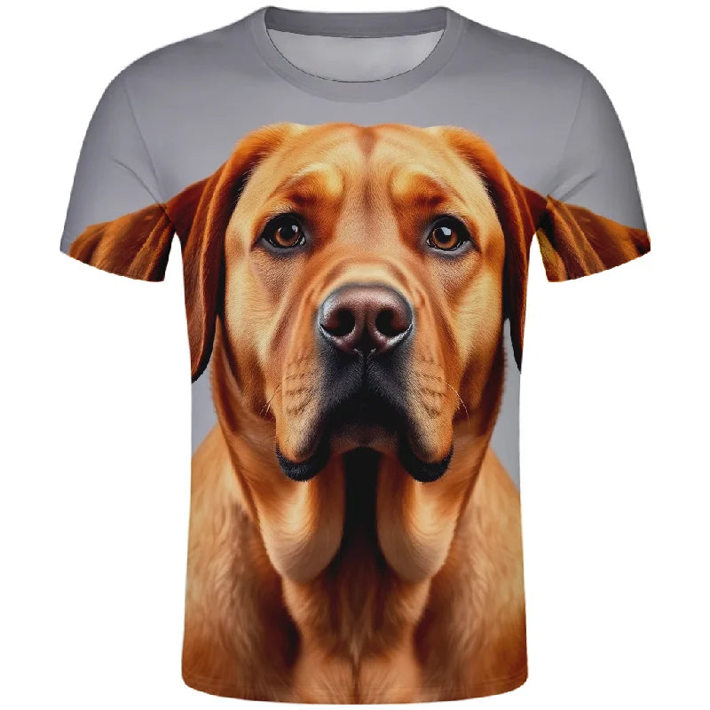 Men clothing