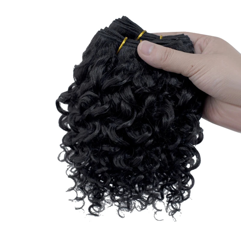 Crown & Glory Wigs