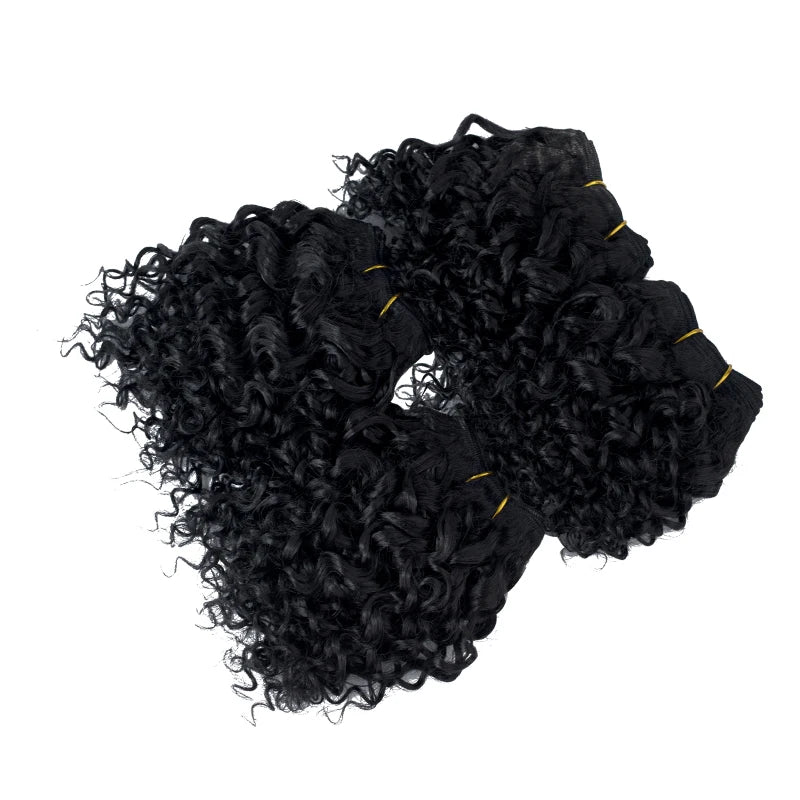Crown & Glory Wigs