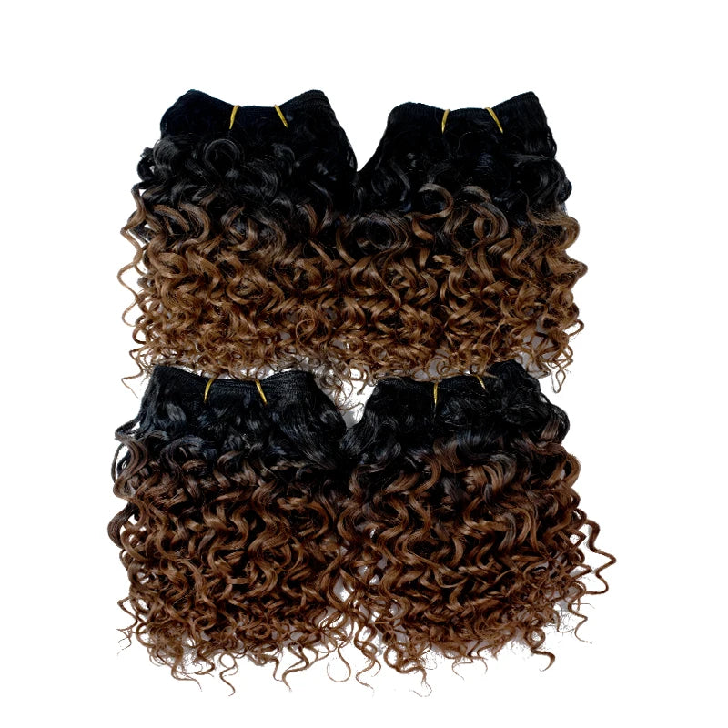Crown & Glory Wigs