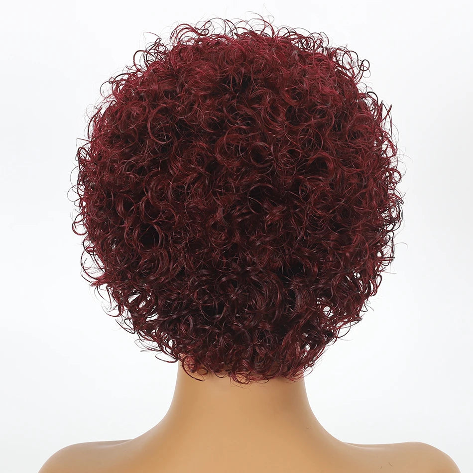 Crown & Glory Wigs