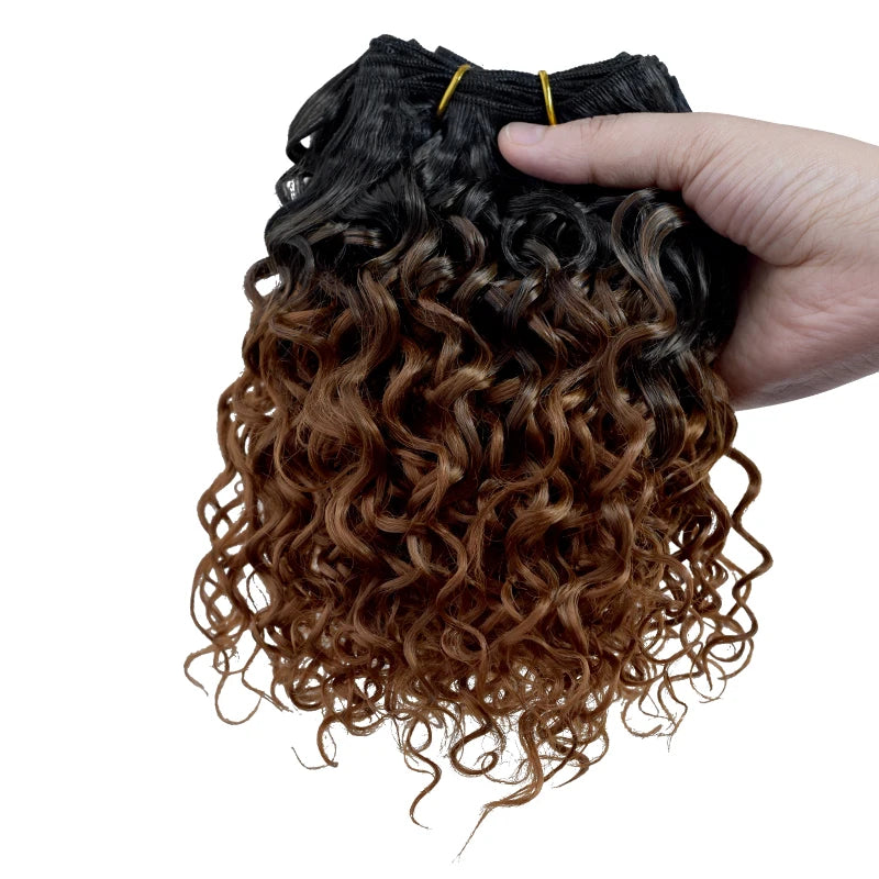 Crown & Glory Wigs