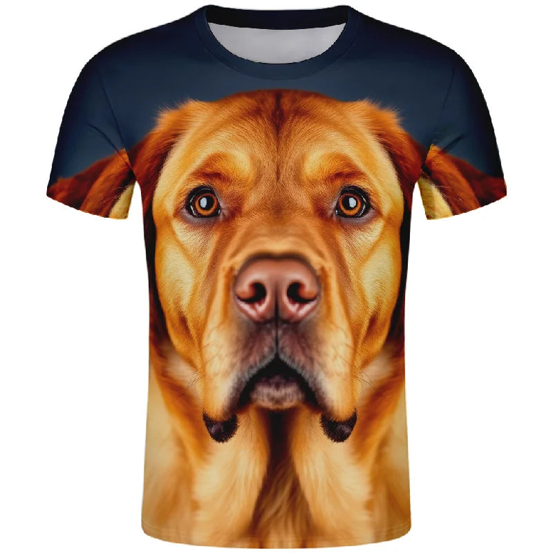 Men clothing