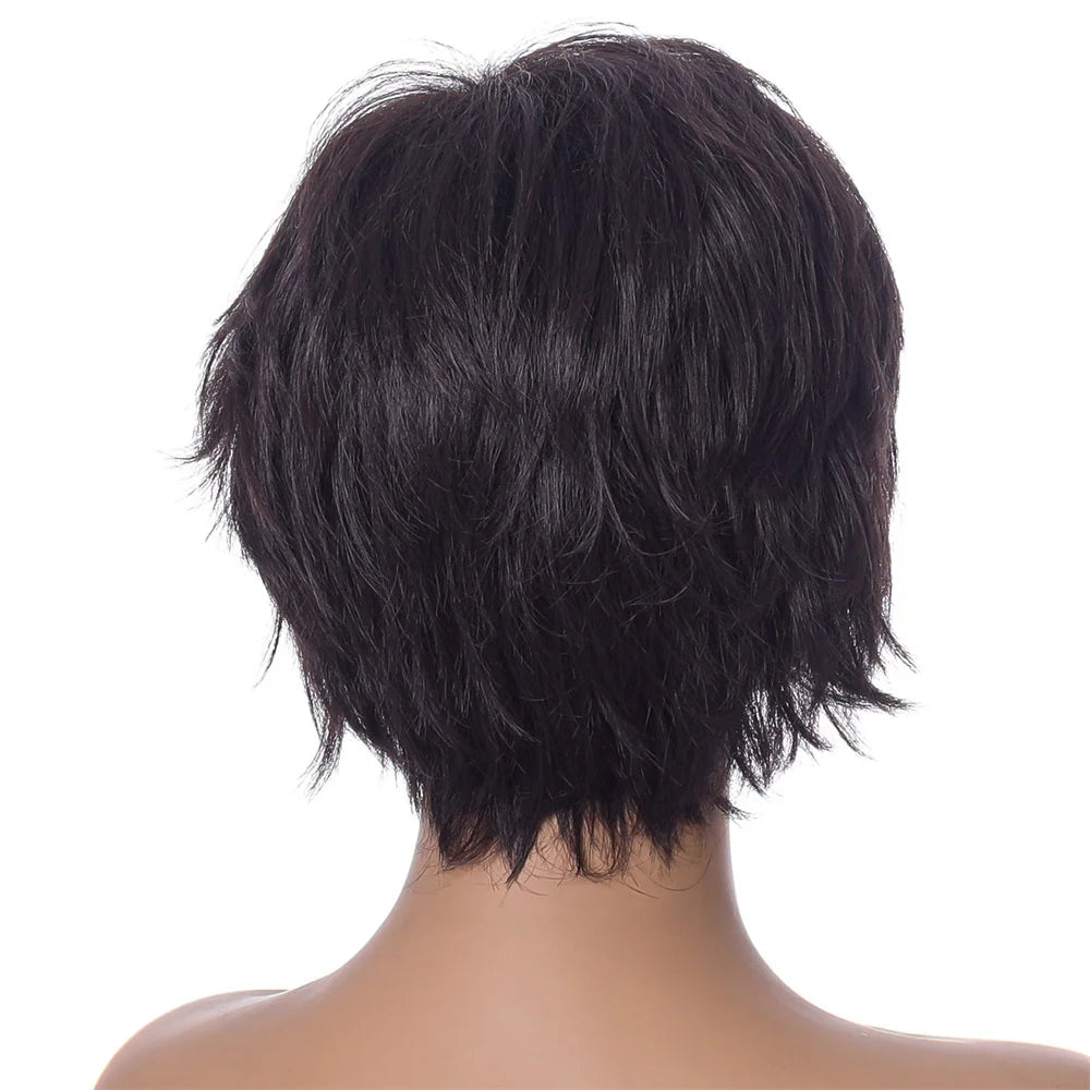 Crown & Glory Wigs