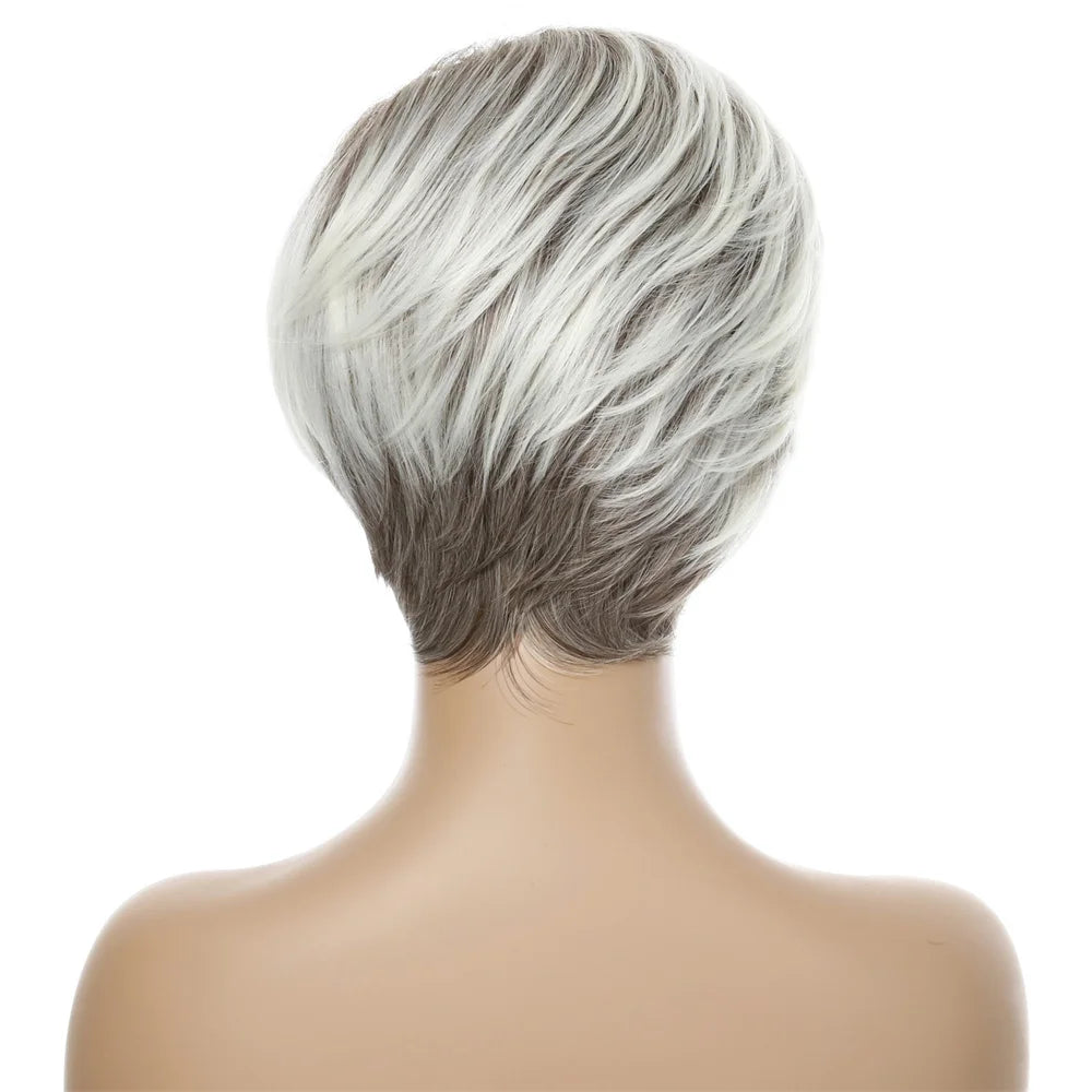 Crown & Glory Wigs