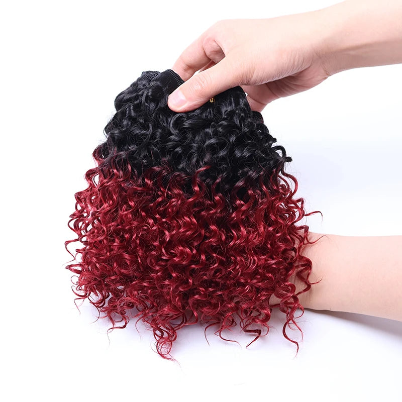 Crown & Glory Wigs