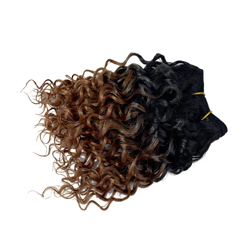 Crown & Glory Wigs