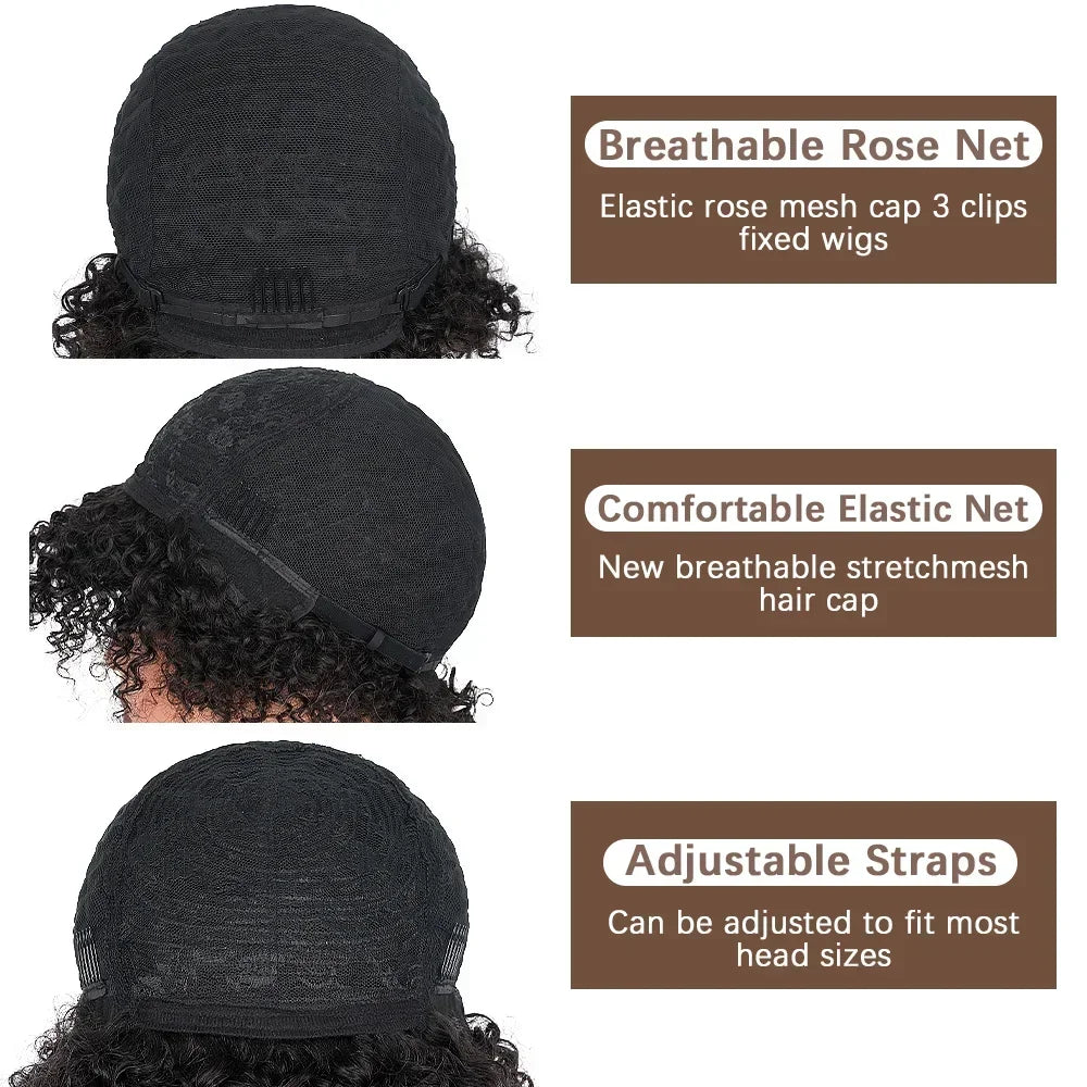 Crown & Glory Wigs