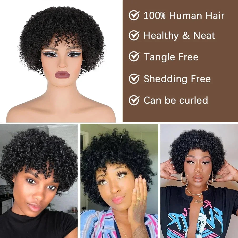Crown & Glory Wigs