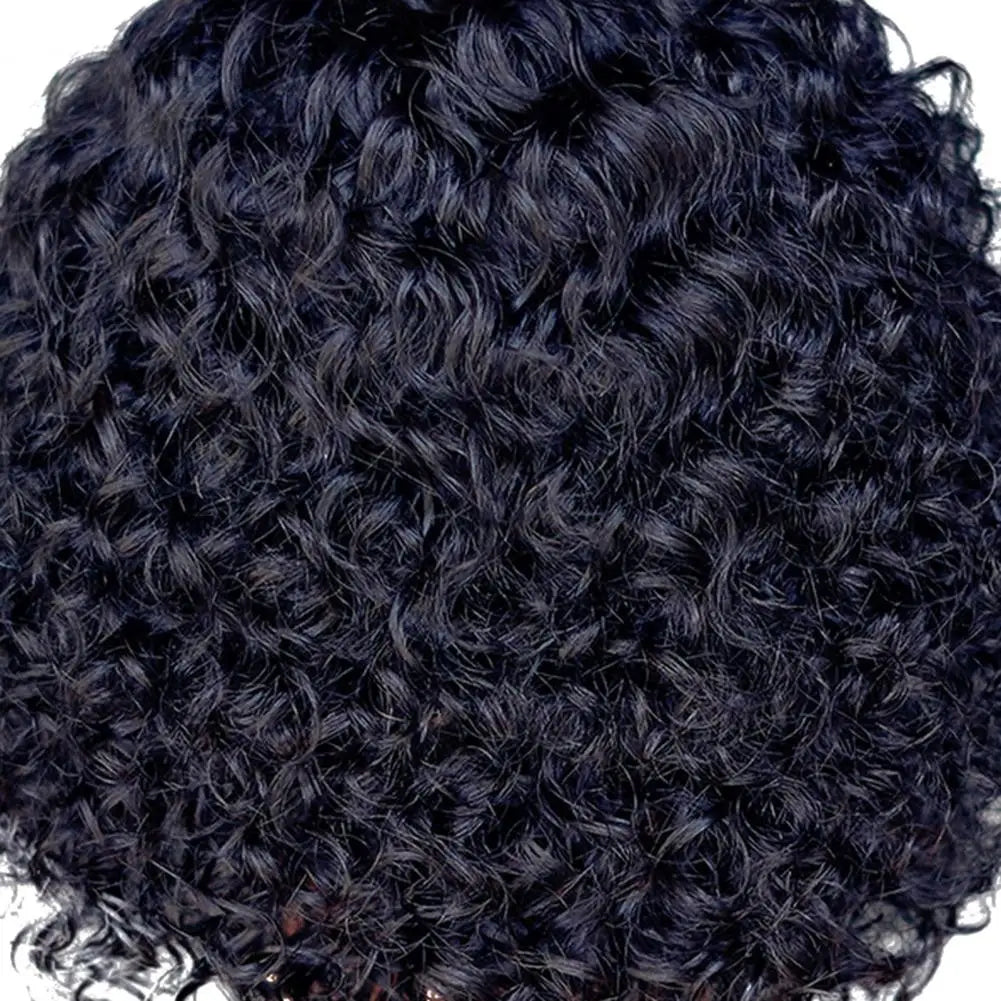 Crown & Glory Wigs