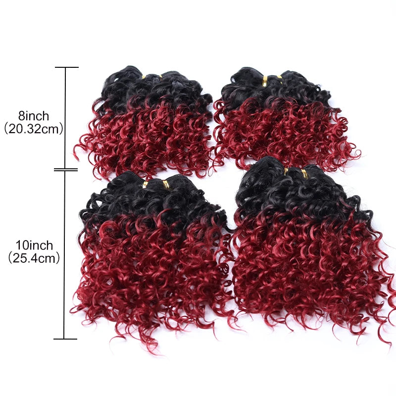 Crown & Glory Wigs