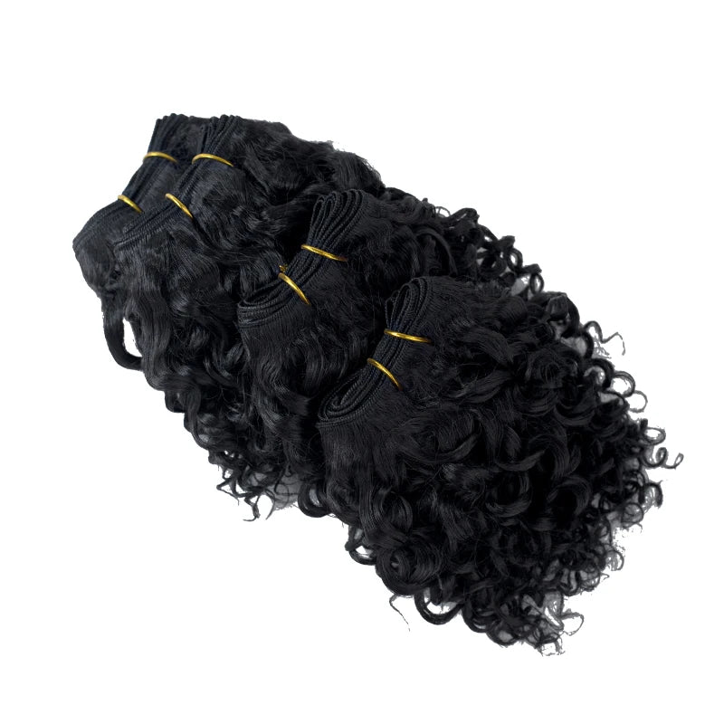 Crown & Glory Wigs