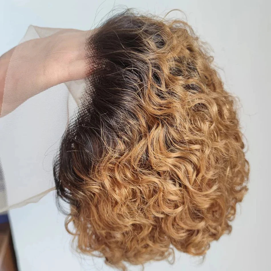 Crown & Glory Wigs