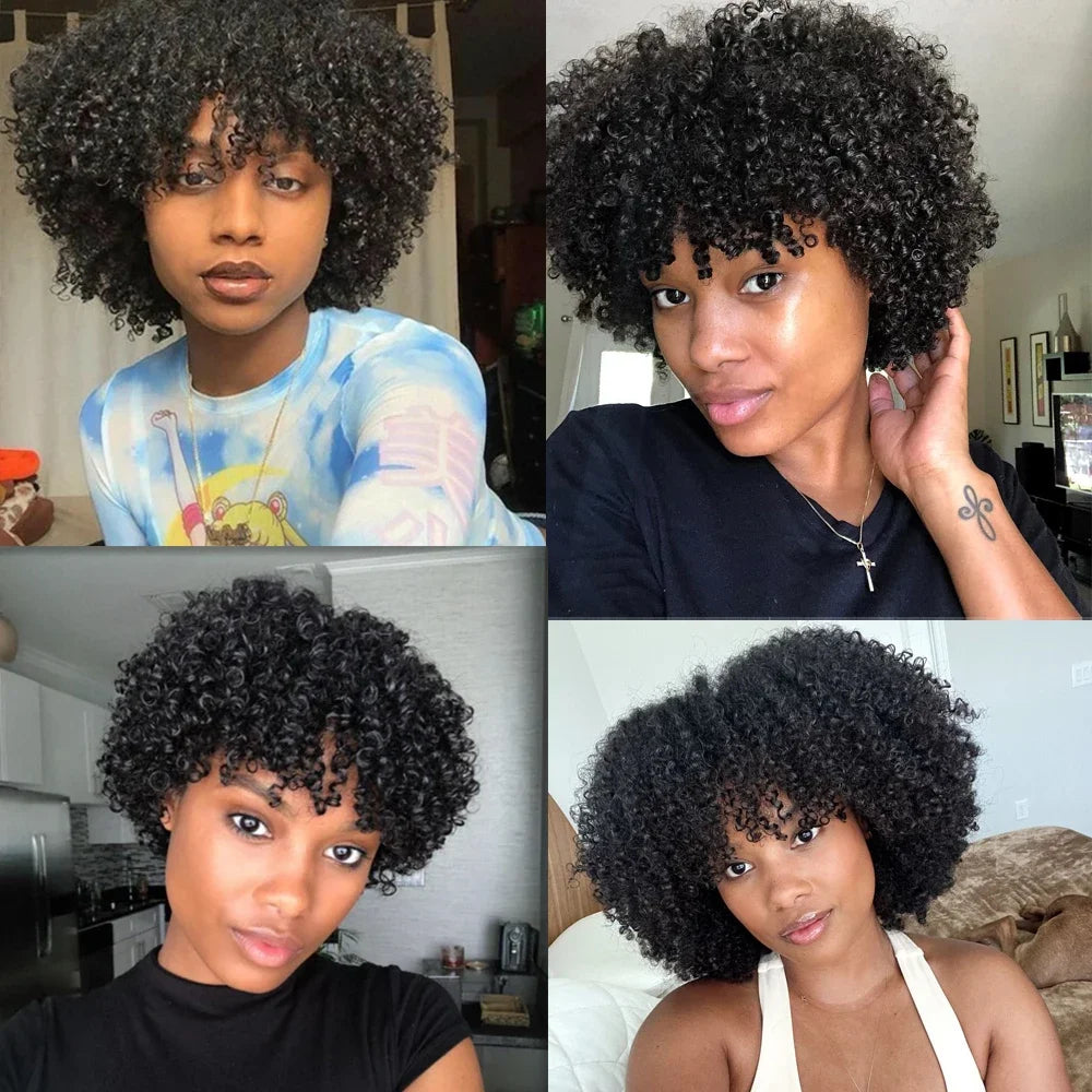 Crown & Glory Wigs