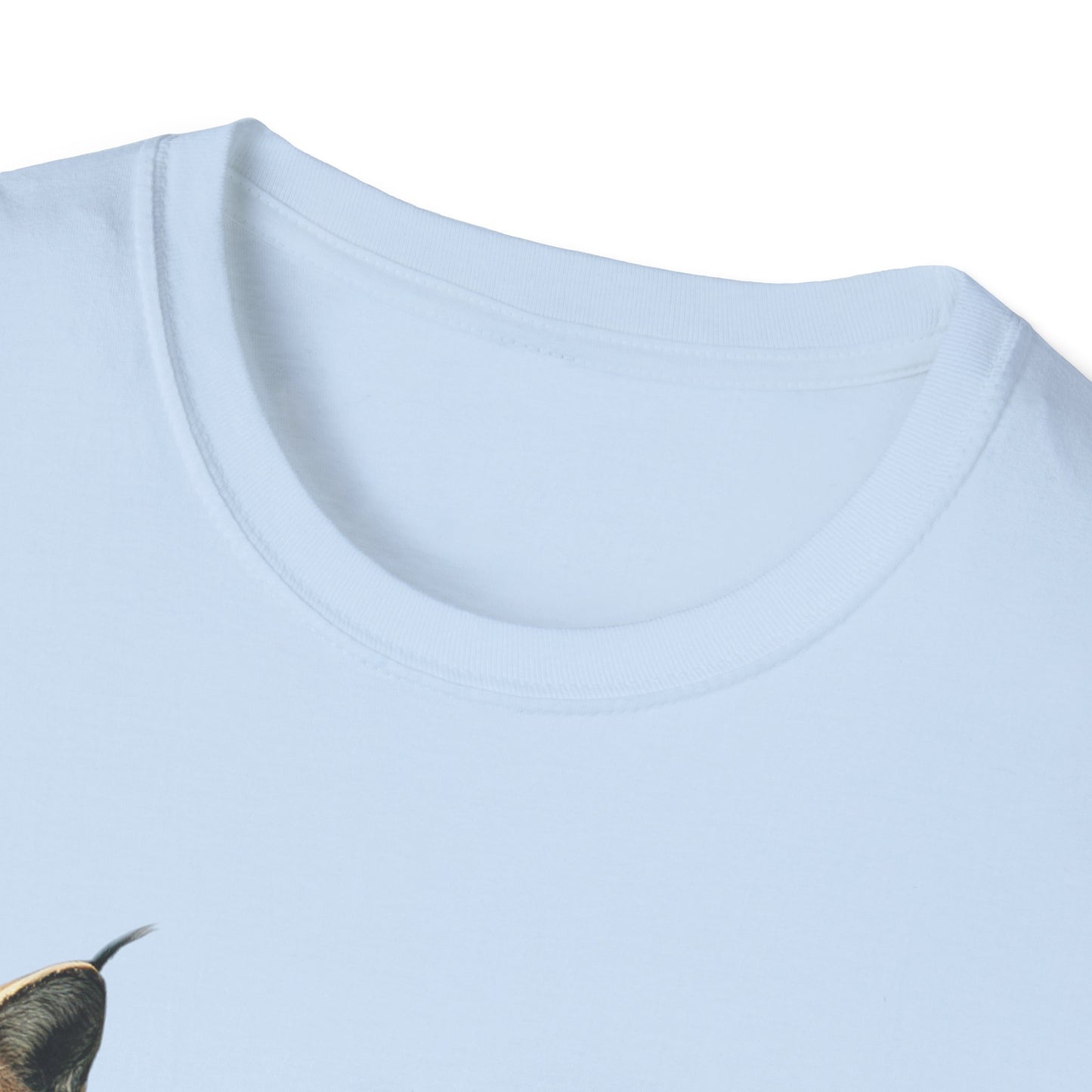 Nature-Inspired Decor & Wearables