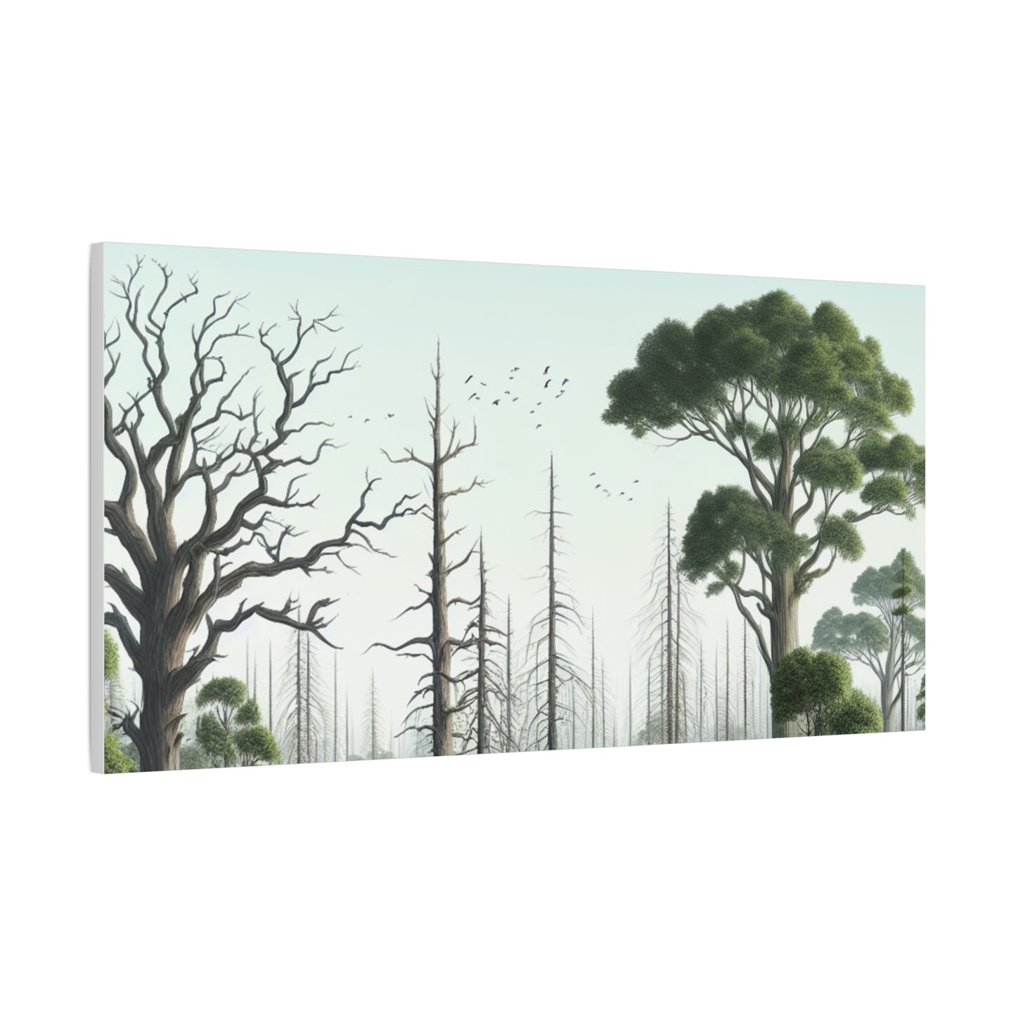 Nature-Inspired Decor & Wearables