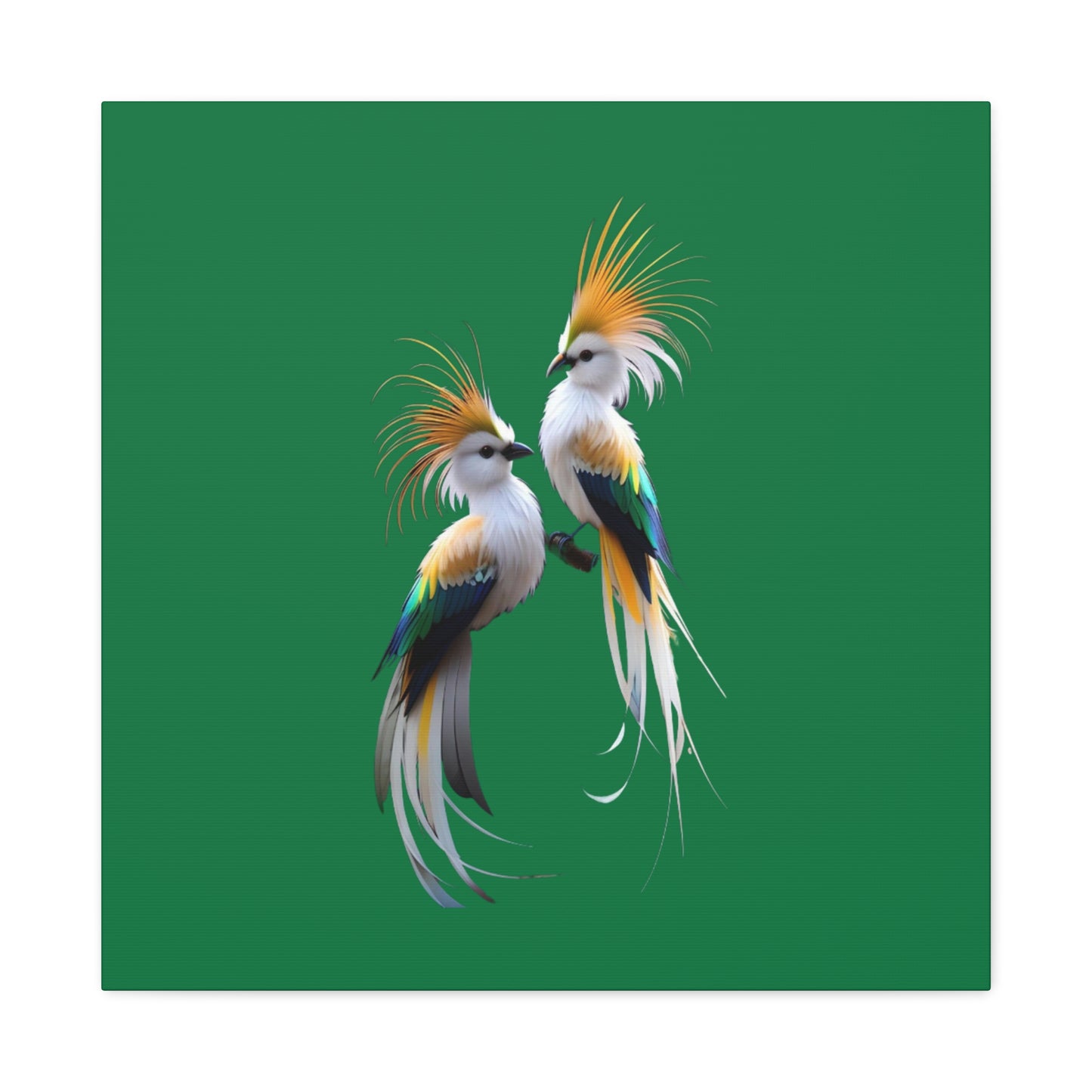 Nature-Inspired Decor & Wearables