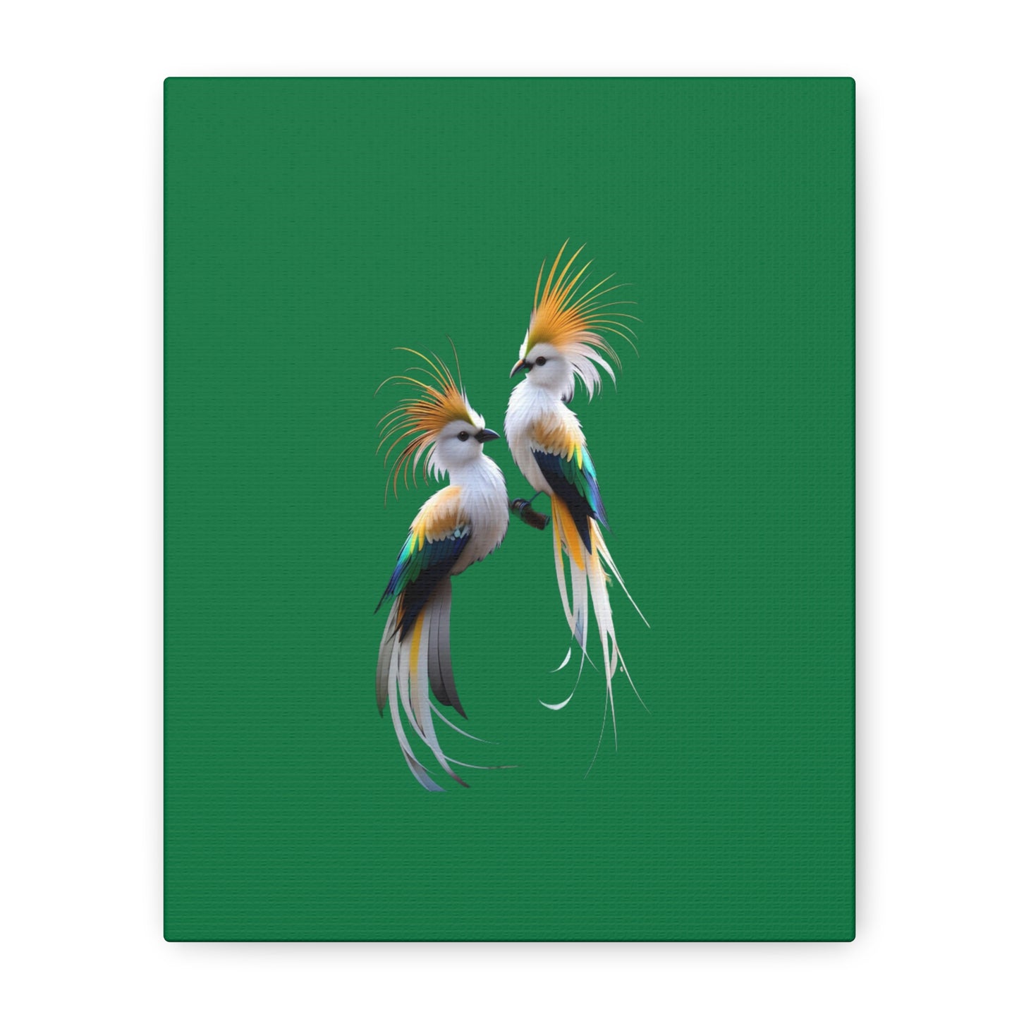 Nature-Inspired Decor & Wearables