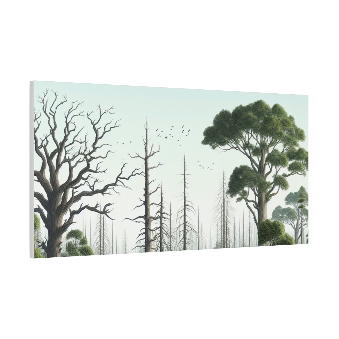 Nature-Inspired Decor & Wearables