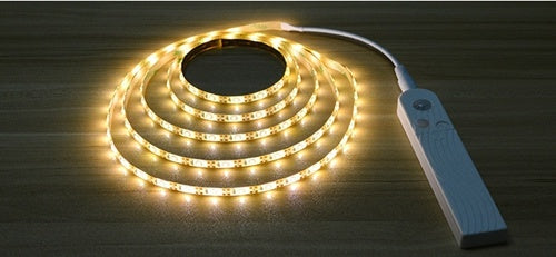 Glow Nest