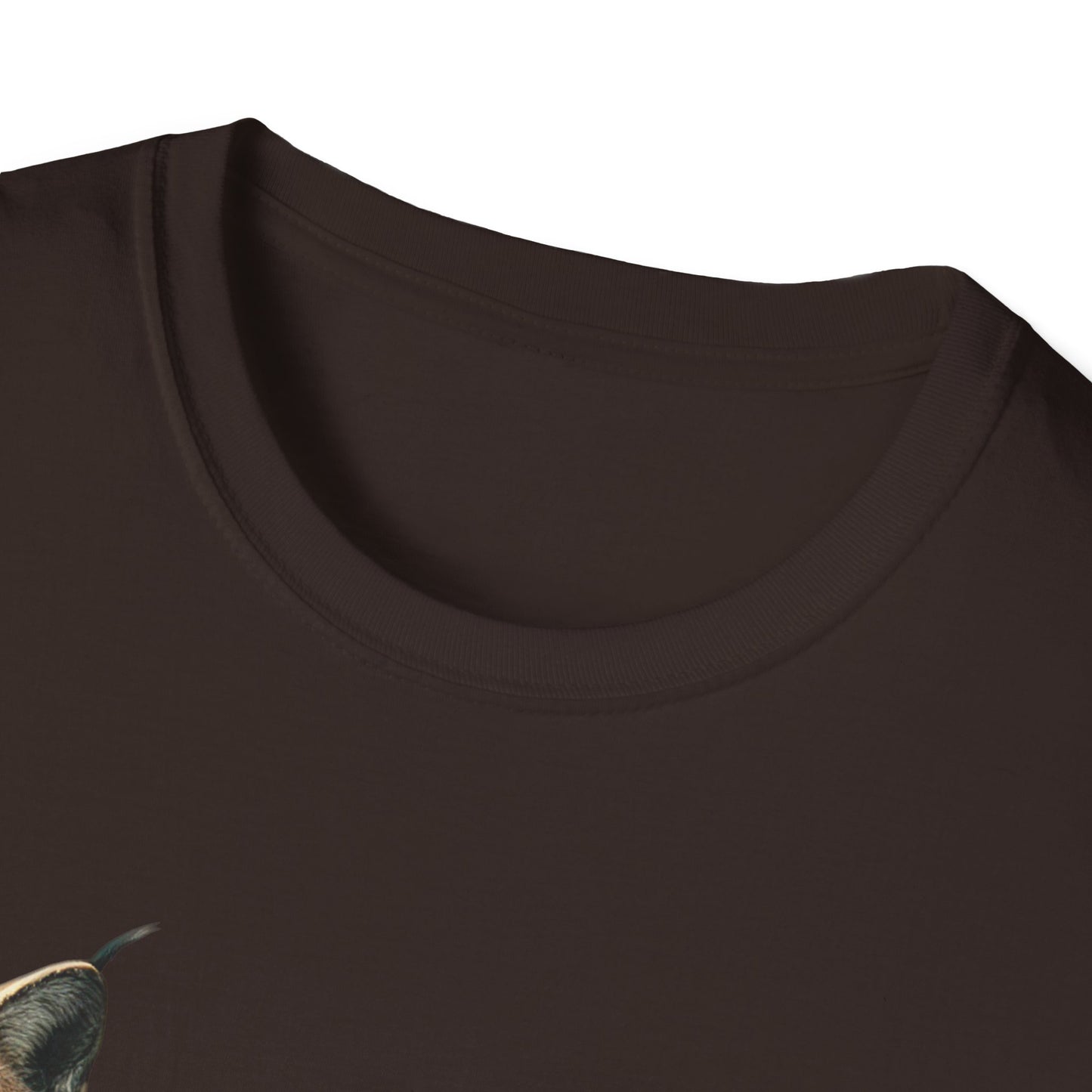 Nature-Inspired Decor & Wearables