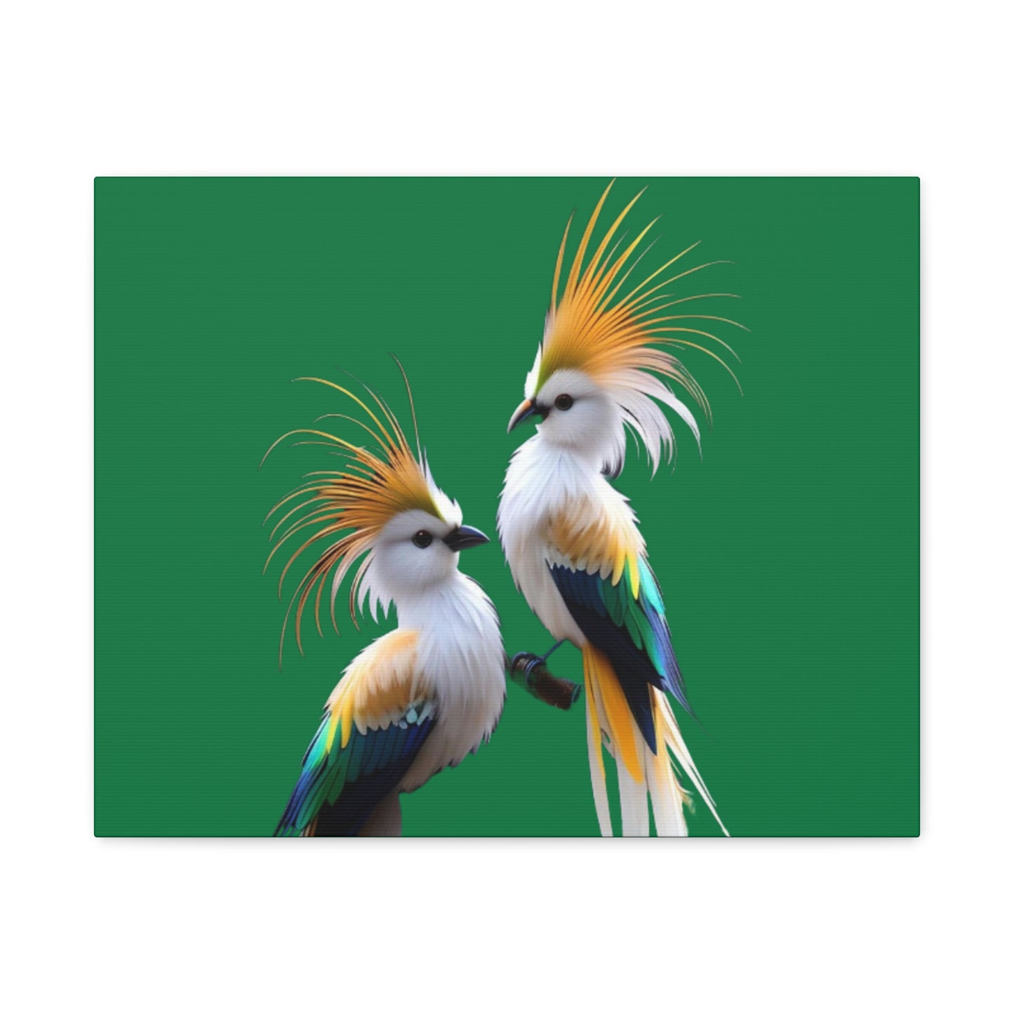 Nature-Inspired Decor & Wearables