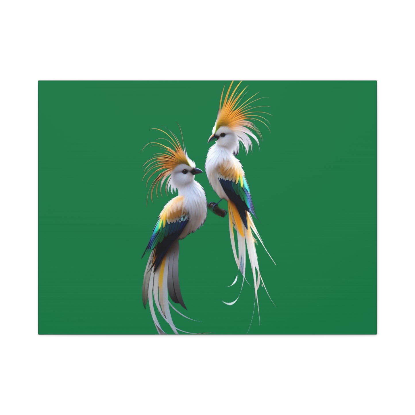 Nature-Inspired Decor & Wearables