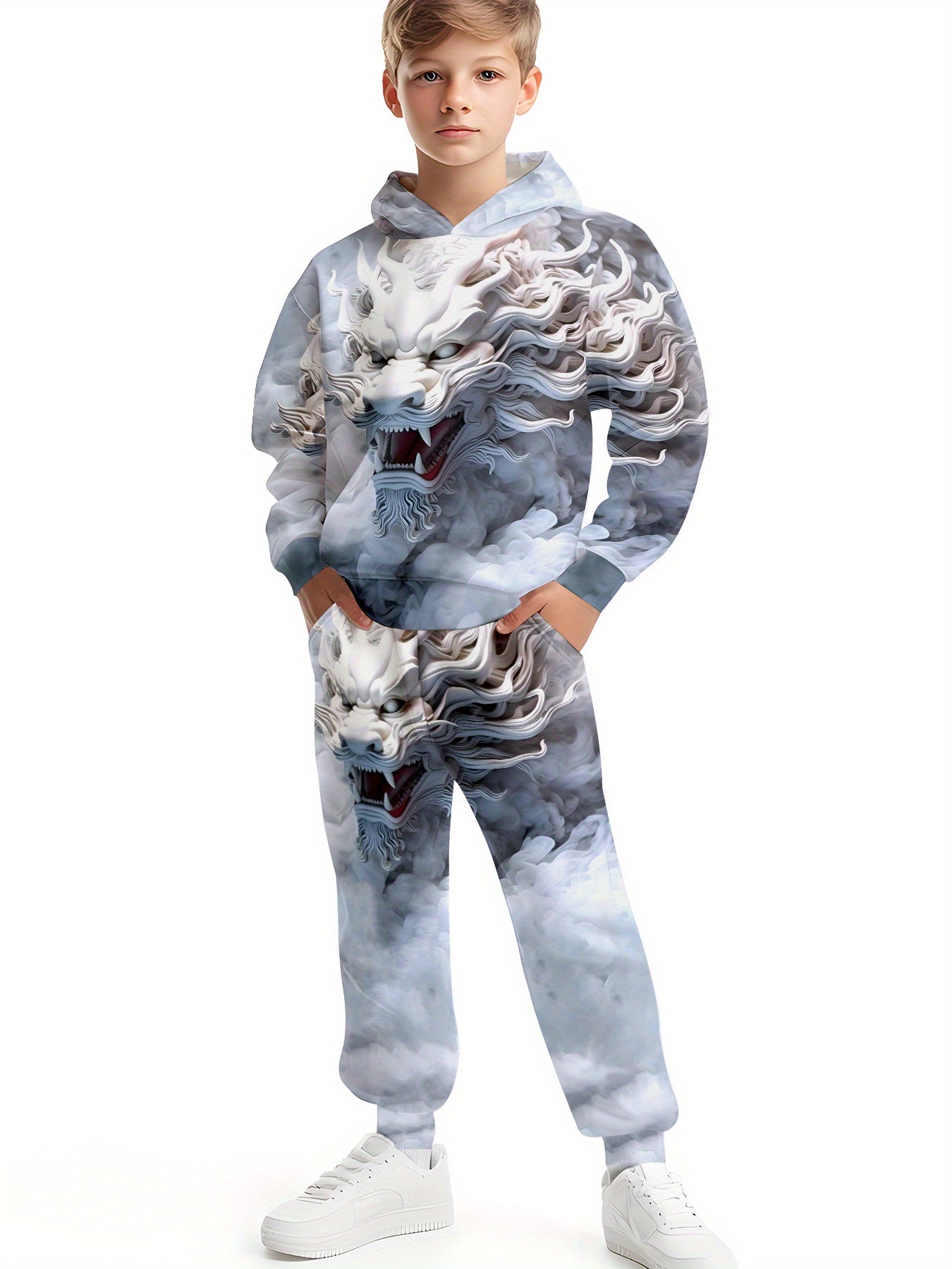 Boy  clothing  3D Dragon Print Hoodie & Joggers Set