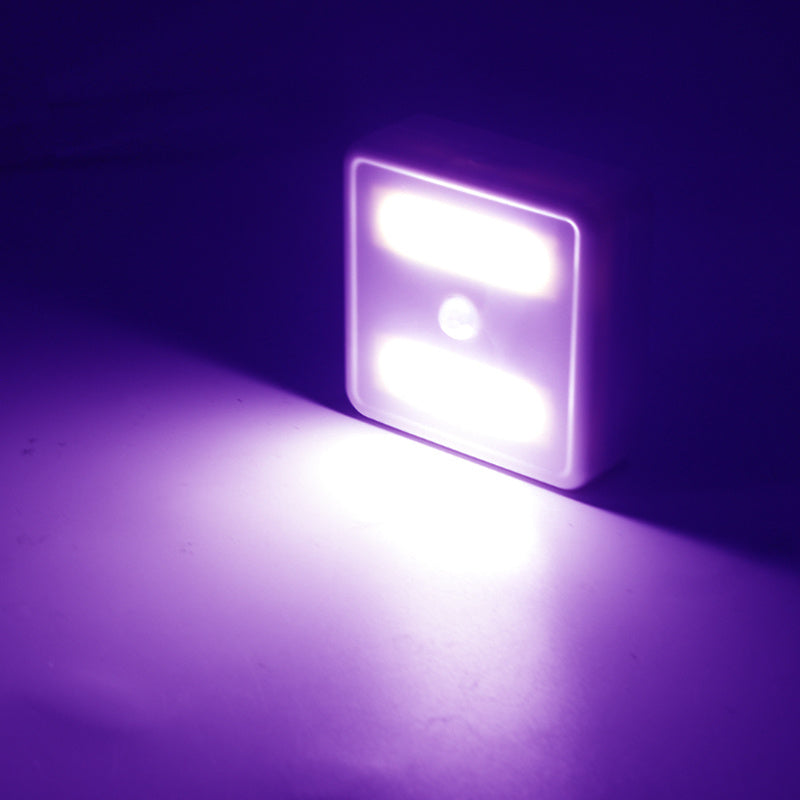 Glow Nest