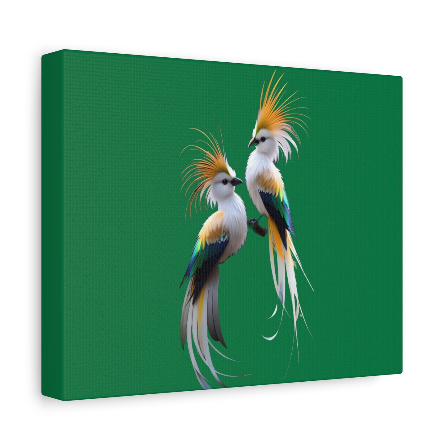Nature-Inspired Decor & Wearables