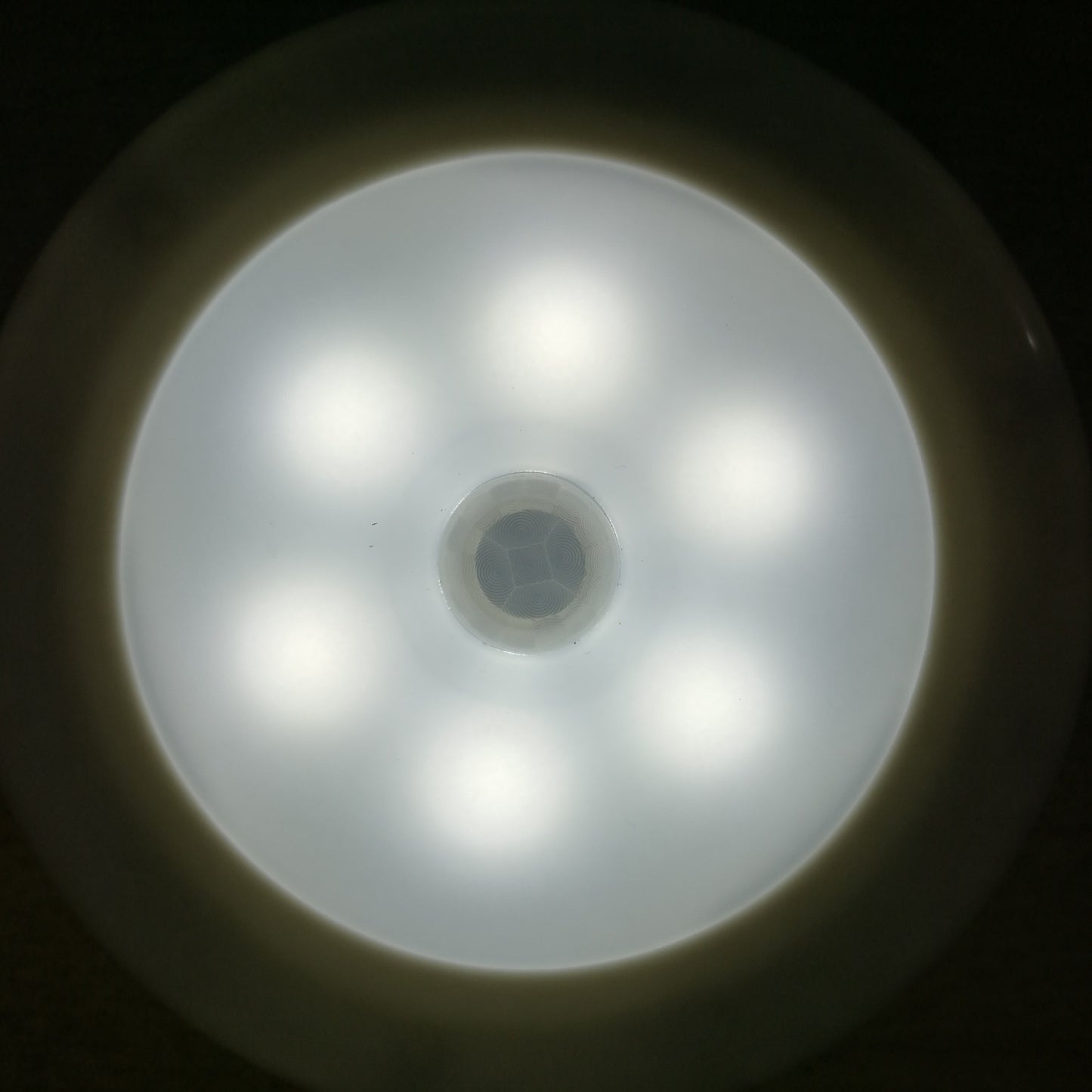 Glow Nest